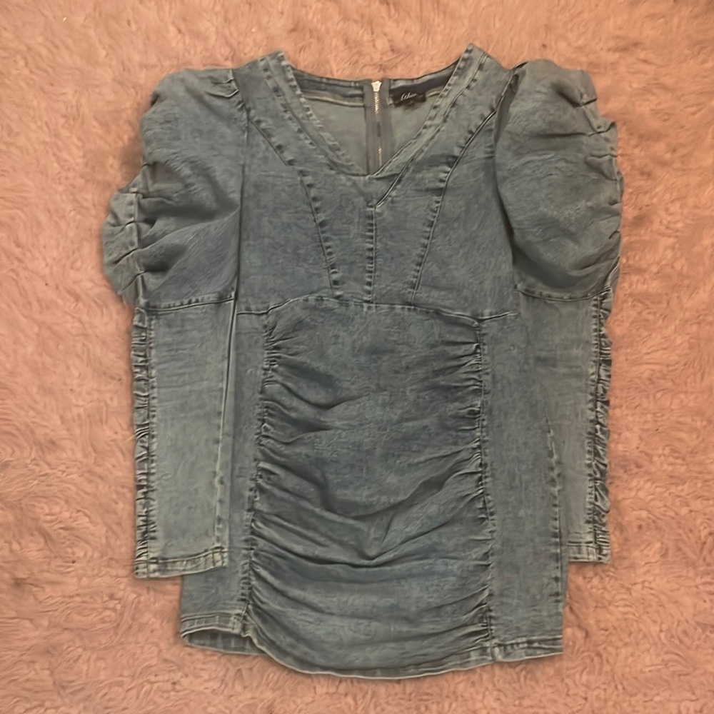 Athena Denim Dress
